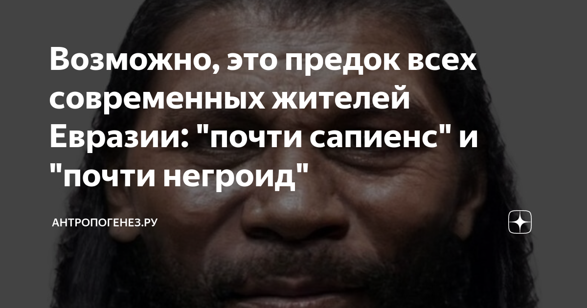 Предок современных дисков и карт памяти 7 букв сканворд ответ