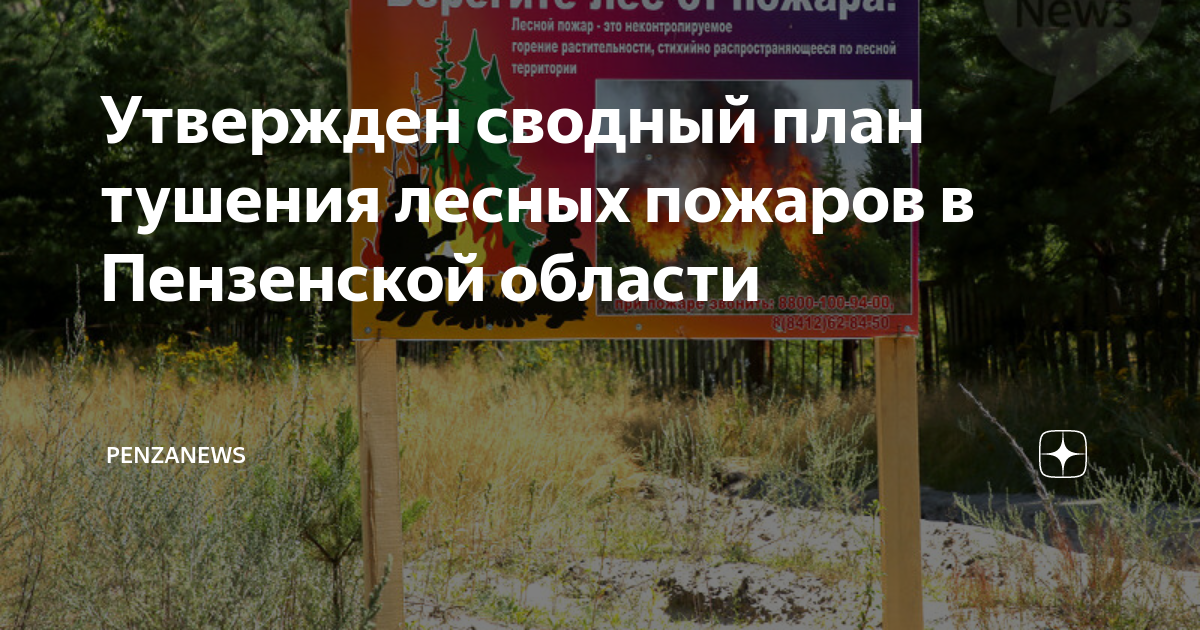 Утвержден сводный план тушения лесных пожаров в Пензенской области ...