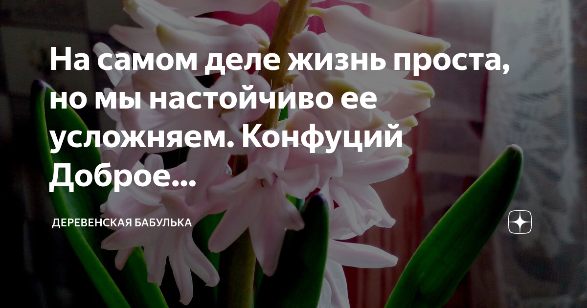 Жизнь проста но мы настойчиво ее усложняем. Жизнь проста мы сами её усложняем. Жизнь проста но мы настойчиво ее усложняем. На самом деле жизнь проста. Жизнь проста но мы настойчиво ее усложняем.