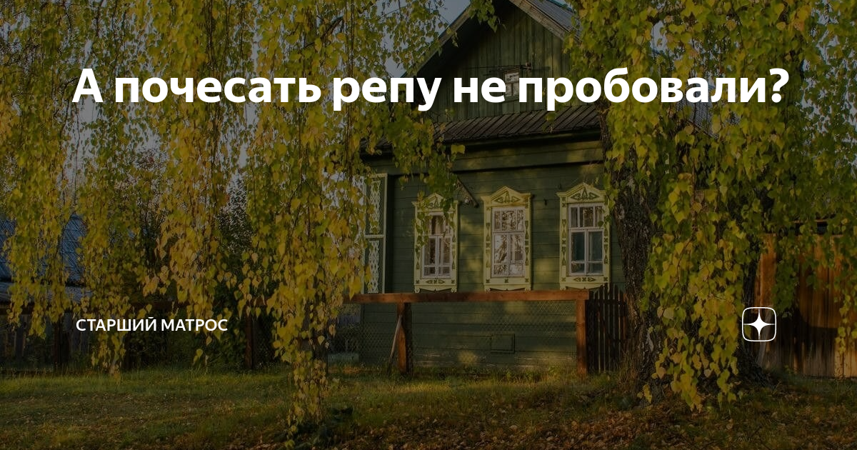 А почесать репу не пробовали? | Старший матрос | Дзен