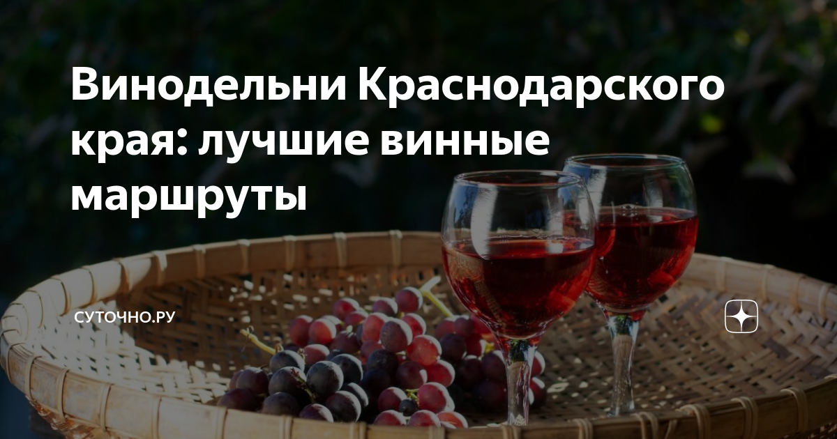 Винодельни Краснодарского края: лучшие винные маршруты | СУТОЧНО.РУ | Дзен
