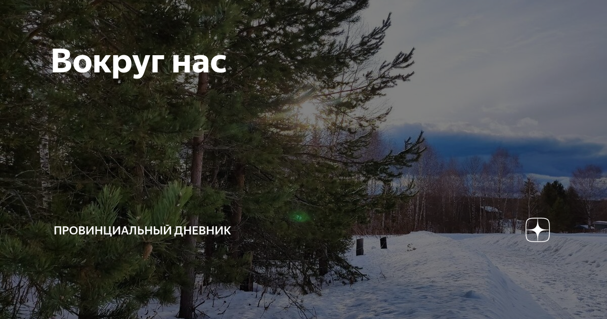 Вокруг нас | Провинциальный дневник | Дзен