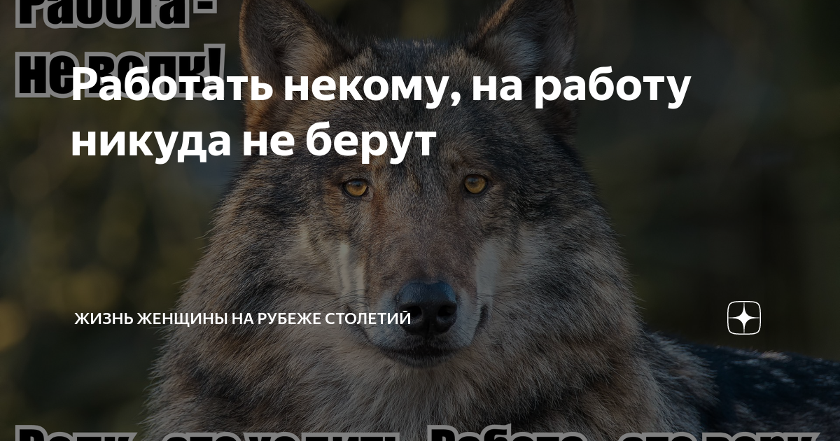 Что делать, если из-за возраста не берут на работу - Российская газета