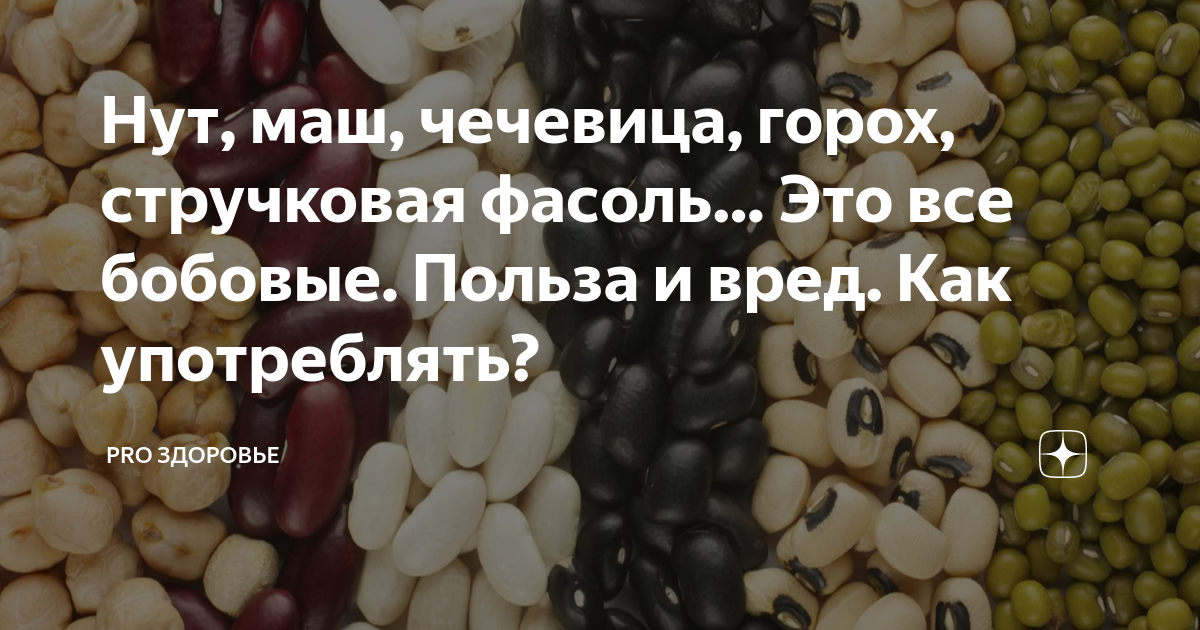 Бобы польза. Чечевица стручковая. Маш и нут. Польза бобовых для организма. Фасоль богата.