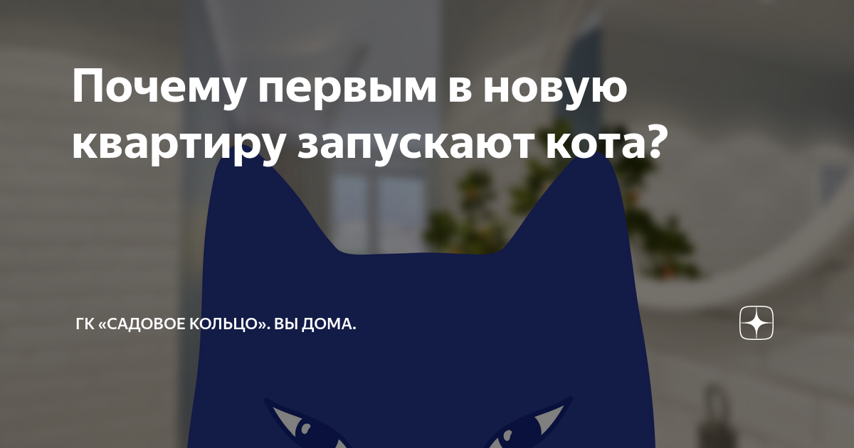 Почему кошку первой нужно запускать лишь в квартиру в новостройке