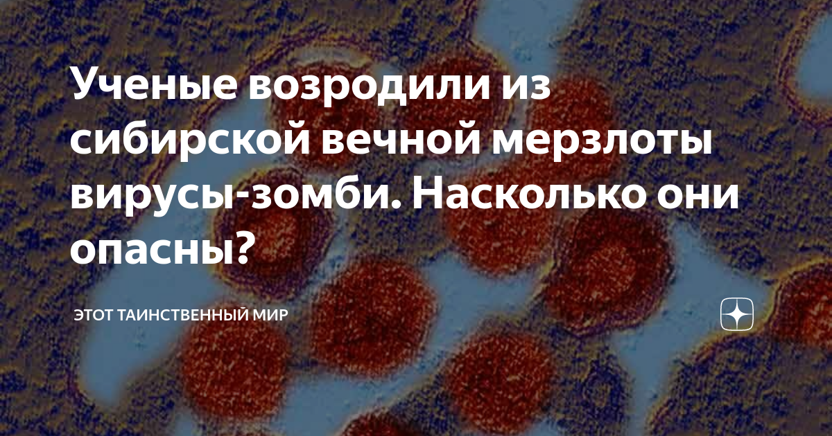 ученые нашли во льдах сибири зомби вирус. ученые нашли во льдах сибири зомби вирус. ученые нашли во льдах сибири зомби вирус. раскопки и останки животных. вирусы в ледниках.