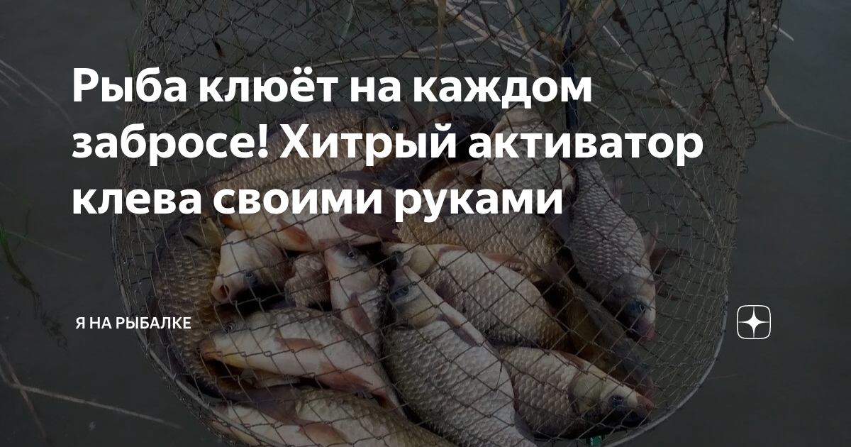 Активатор клева своими руками: как сделать? » Рыбалка в Белгородской области | POPLAVOKRU