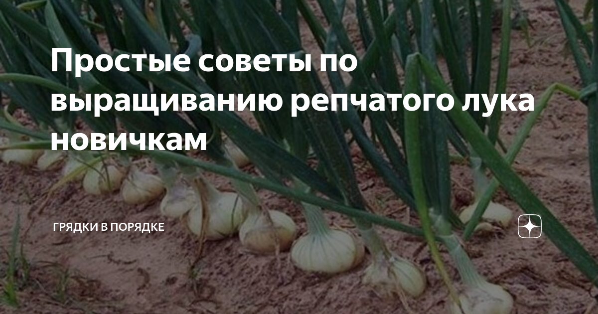 что делать чтобы не плакать при резке лука