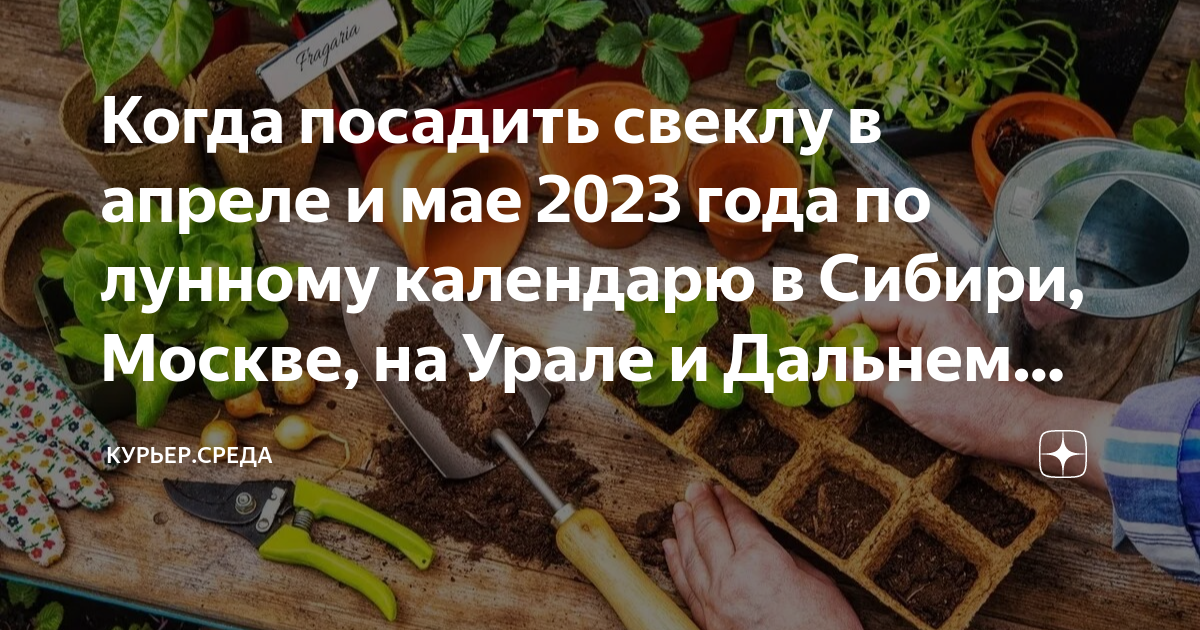 Пересадка томатов в апреле по лунному календарю