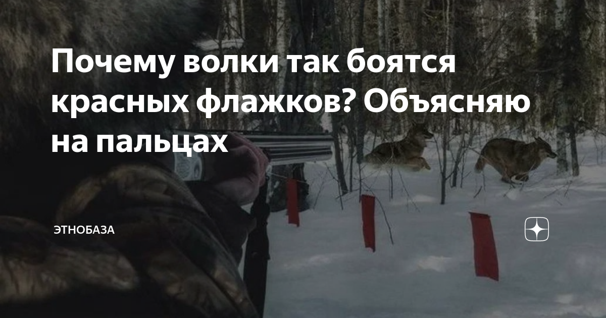 Почему волки нельзя. Лось в Москве. Лось в Подмосковье. Анекдот про оленеводов крайнего севера.