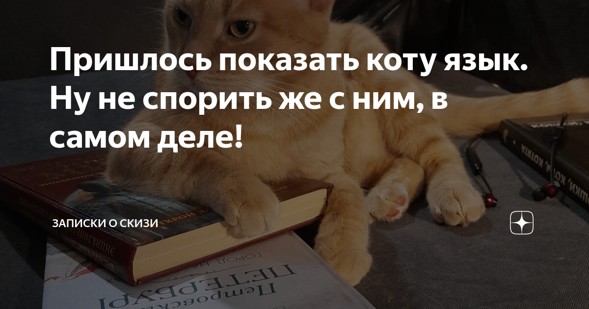 Пришлось показать коту язык. Ну не спорить же с ним, в самом деле ...