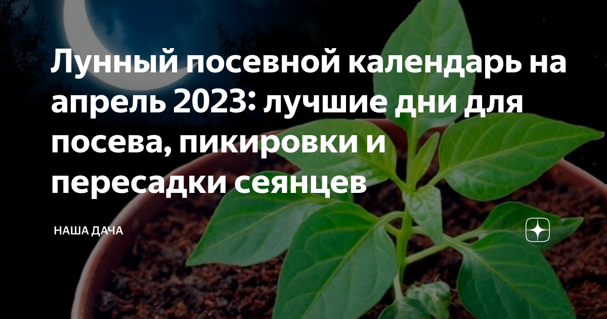 Благоприятные дни посадки апрель 2023 года