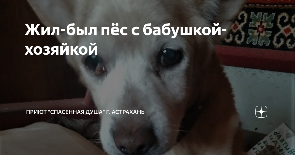 спасенная душа астрахань дзен