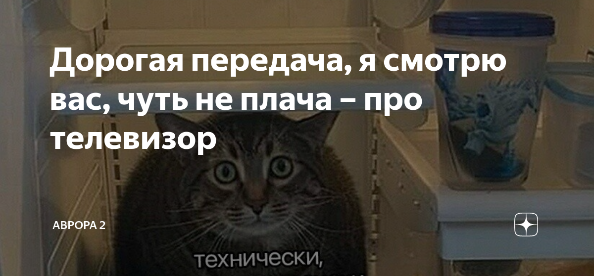 Дорогая передача, я смотрю вас, чуть не плача – про телевизор | АВРОРА ...