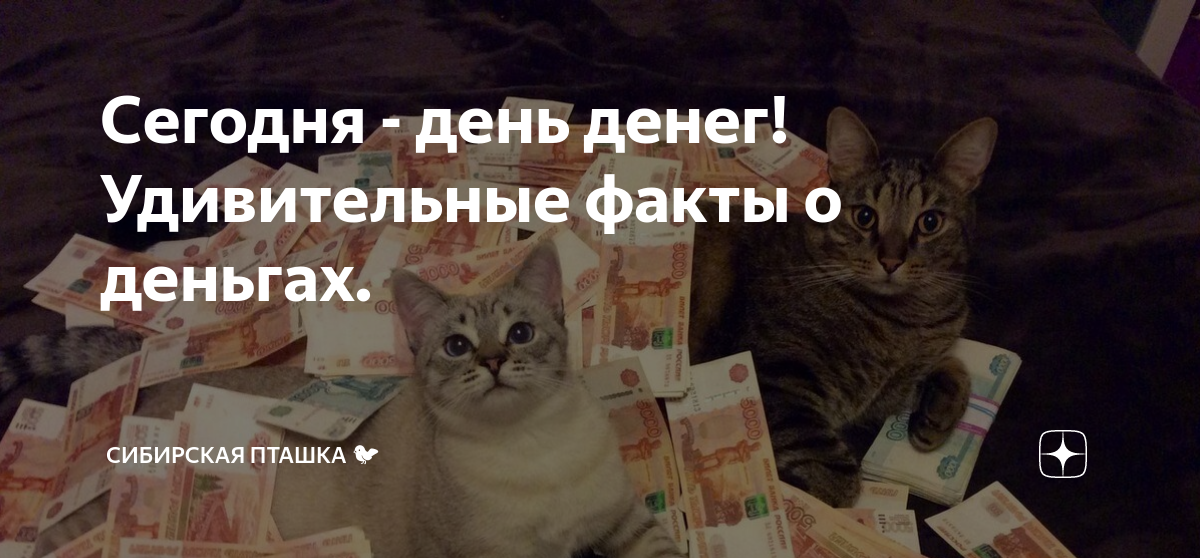 Международный день денег. Сегодня день денег. День денег 17 апреля. День денег 17 апреля картинки прикольные.