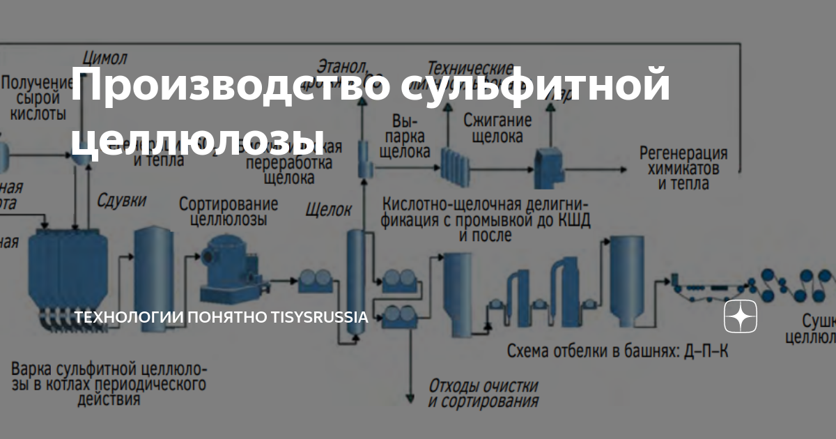 Производство сульфатной целлюлозы