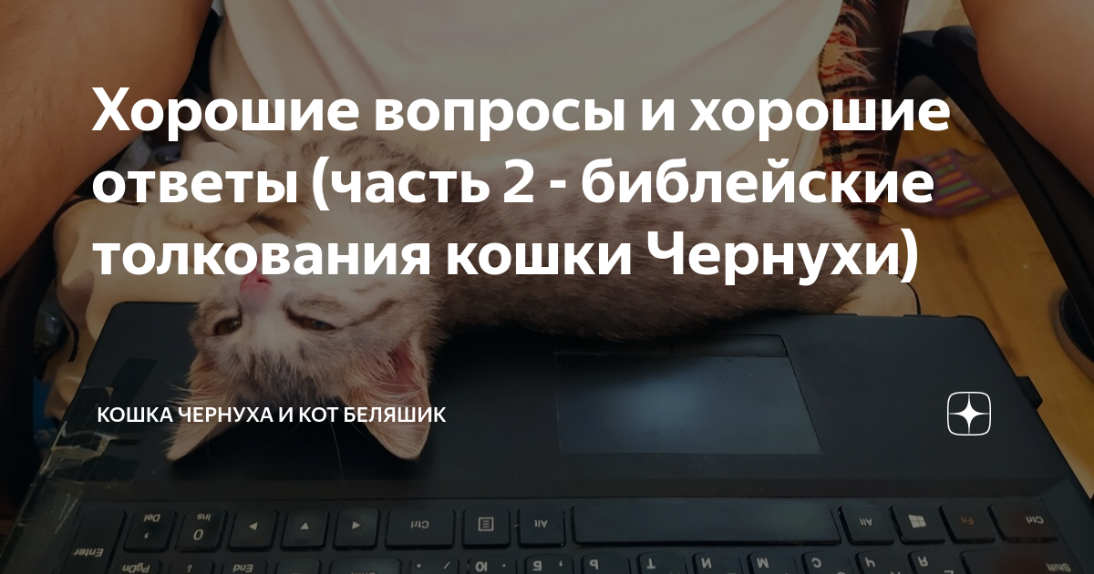 бред в библии