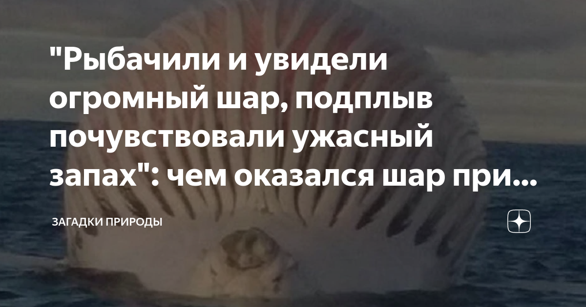 Как меняется изображение прорези на колпачке лампы при приближении предмета к линзе