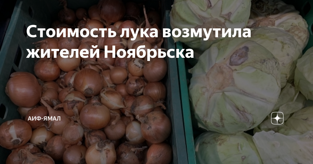Стоимость лука возмутила жителей Ноябрьска | АиФ-Ямал | Дзен