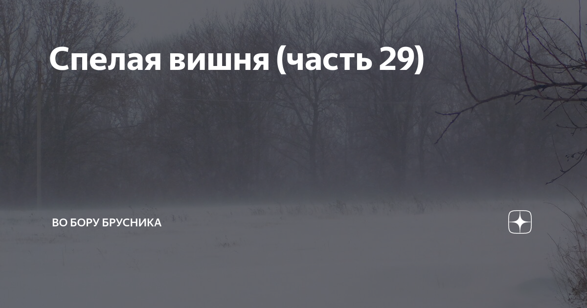 Осколки души во бору брусника глава 26