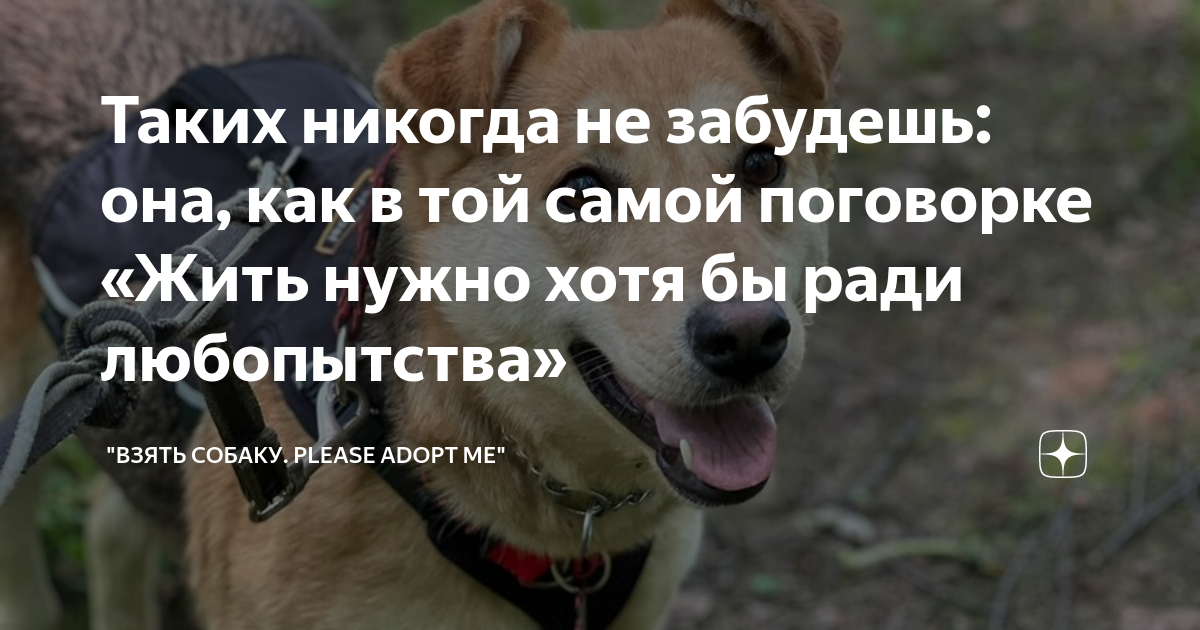 Таких никогда не забудешь: она, как в той самой поговорке «Жить нужно ...