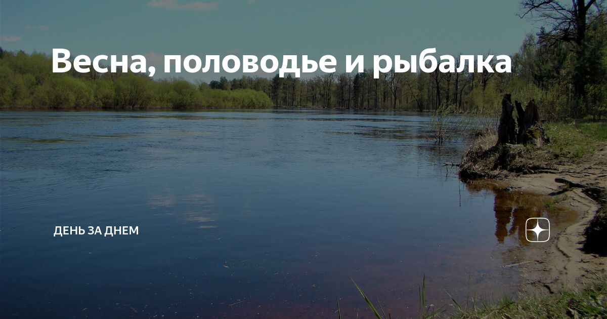 Рыбалка в половодье весной: лучшие места, снасти, приемы ловли