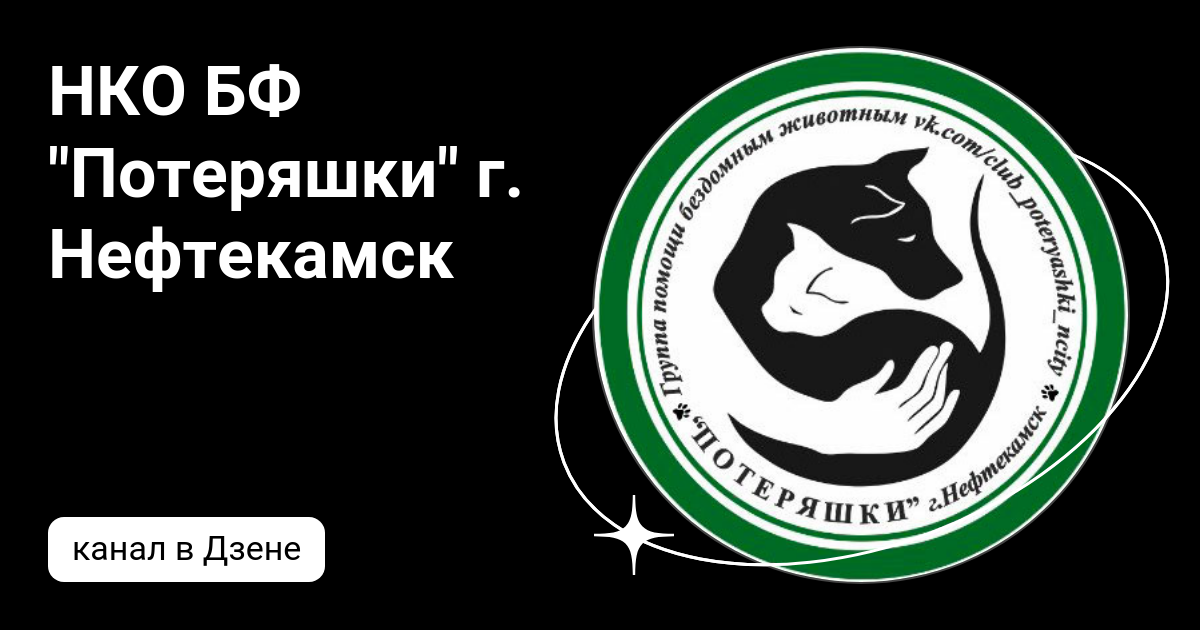 НКО БФ "Потеряшки" г. Нефтекамск | Дзен