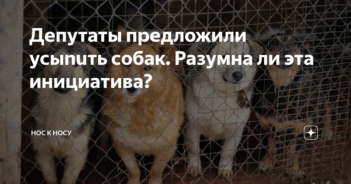 Можно ли усыплять собак по закону