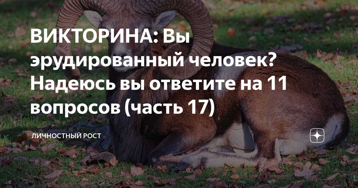ВИКТОРИНА: Вы эрудированный человек? Надеюсь вы ответите на 11 вопросов ...