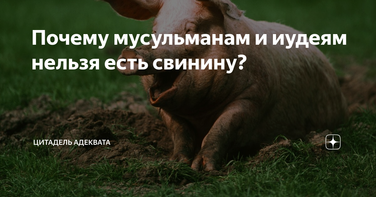 Почему мусульманам нельзя рисовать