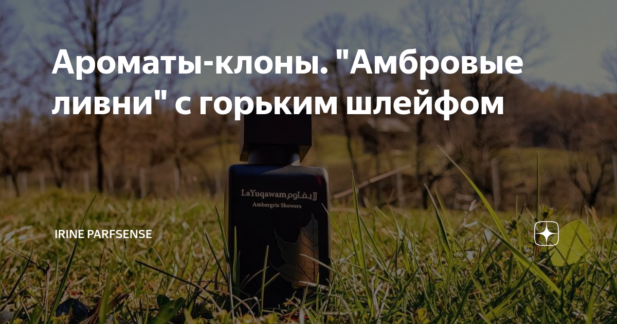 Ароматы-клоны. "Амбровые ливни" с горьким шлейфом | Irine ParfSense | Дзен