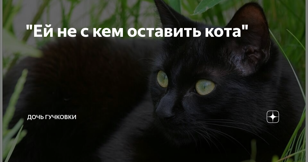 Ей нескем оставить кота