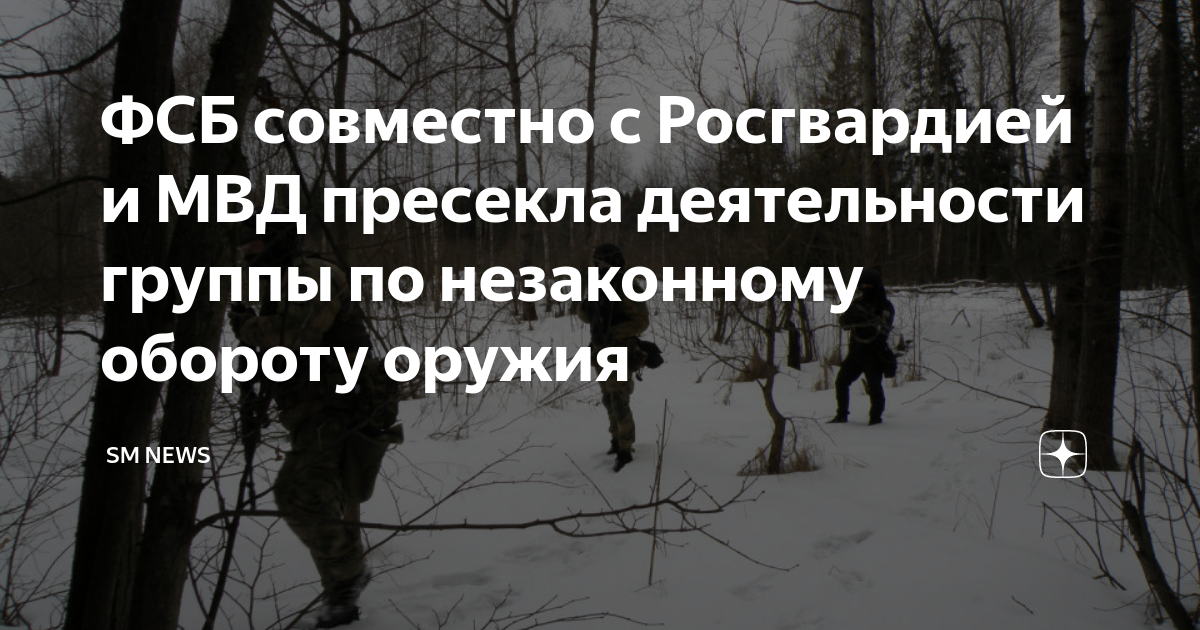 ФСБ совместно с Росгвардией и МВД пресекла деятельности группы по ...
