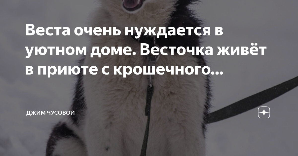 очень нуждается. цитаты позови меня. презентация для подростков. нуждаемся в финансовой помощи. люди нуждаются в любви.