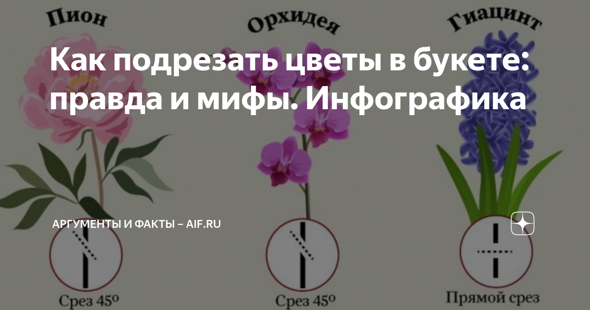 как подрезать цветы чтобы дольше стояли
