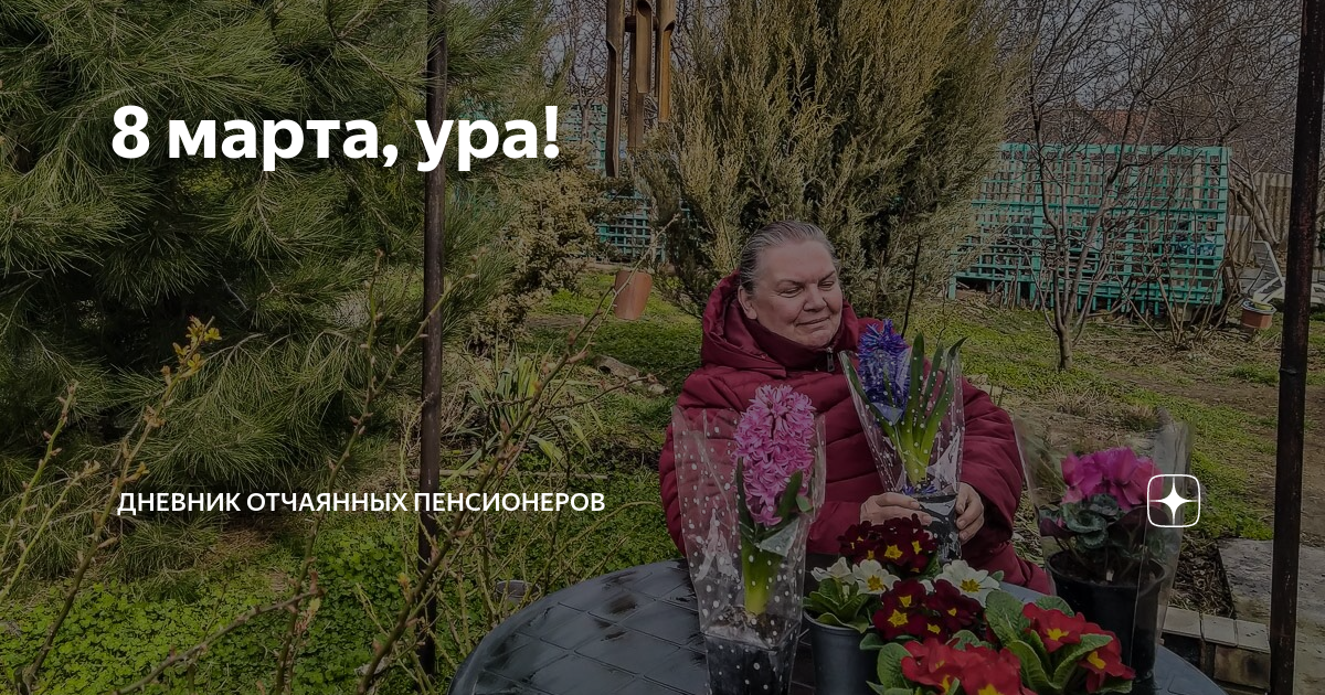 Дневник отчаянных пенсионеров последние публикации на дзен