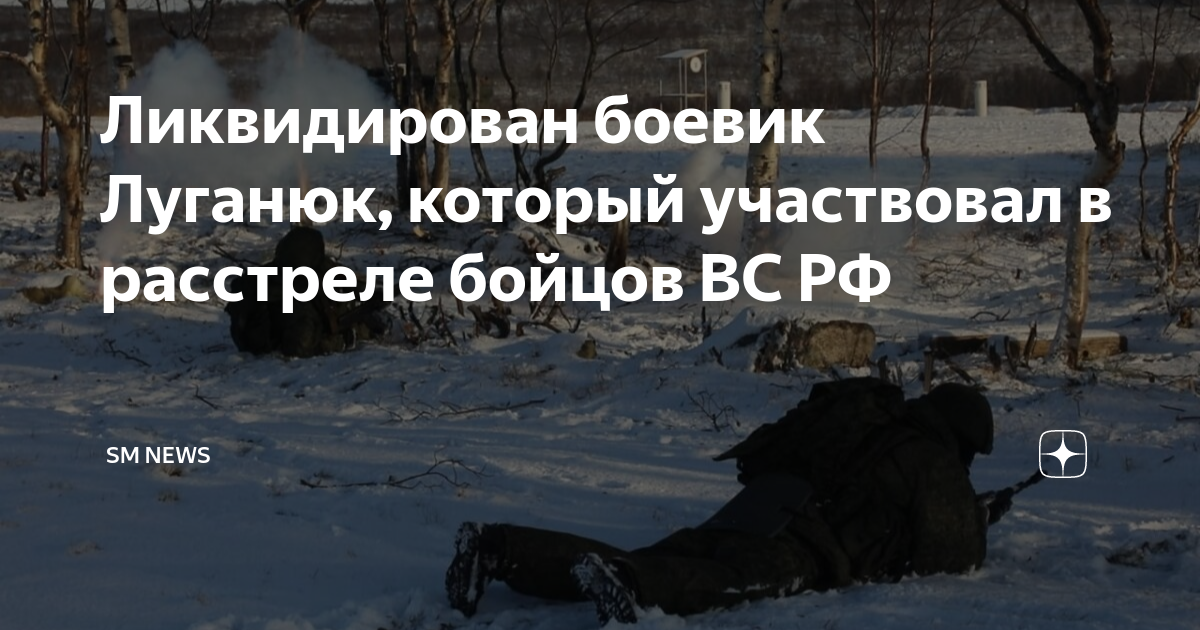 Обстрелянный боец как пишется. Ликвидирован боевик Украины.