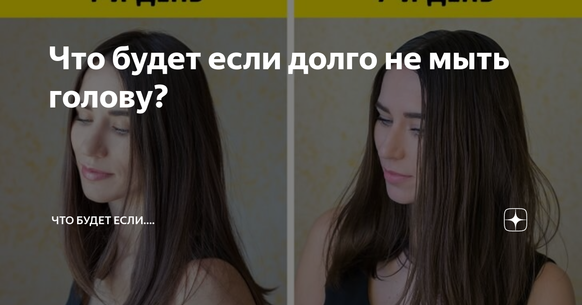 Что будет если долго не мыть голову? | Что будет если.... | Дзен