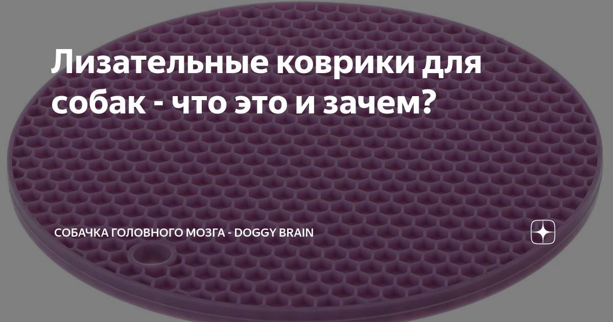 Лизательные коврики для собак - что это и зачем? | Собачка головного ...