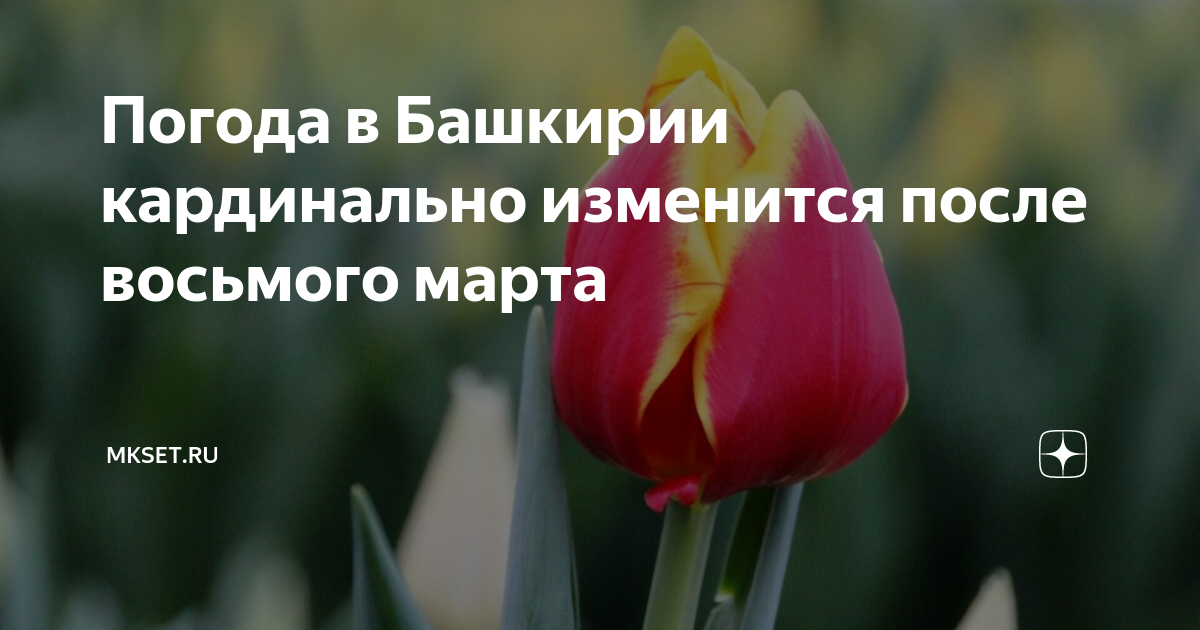 уральские пельмени после восьмого марта