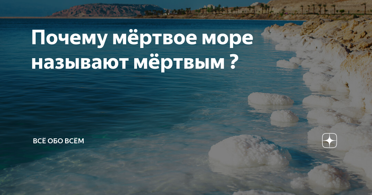 Почему Мертвое море названо мертвым причины и особенности