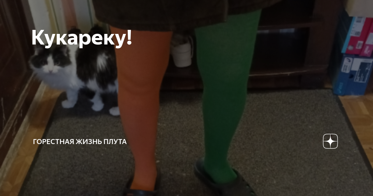 Кукареку! | Горестная Жизнь Плута | Дзен