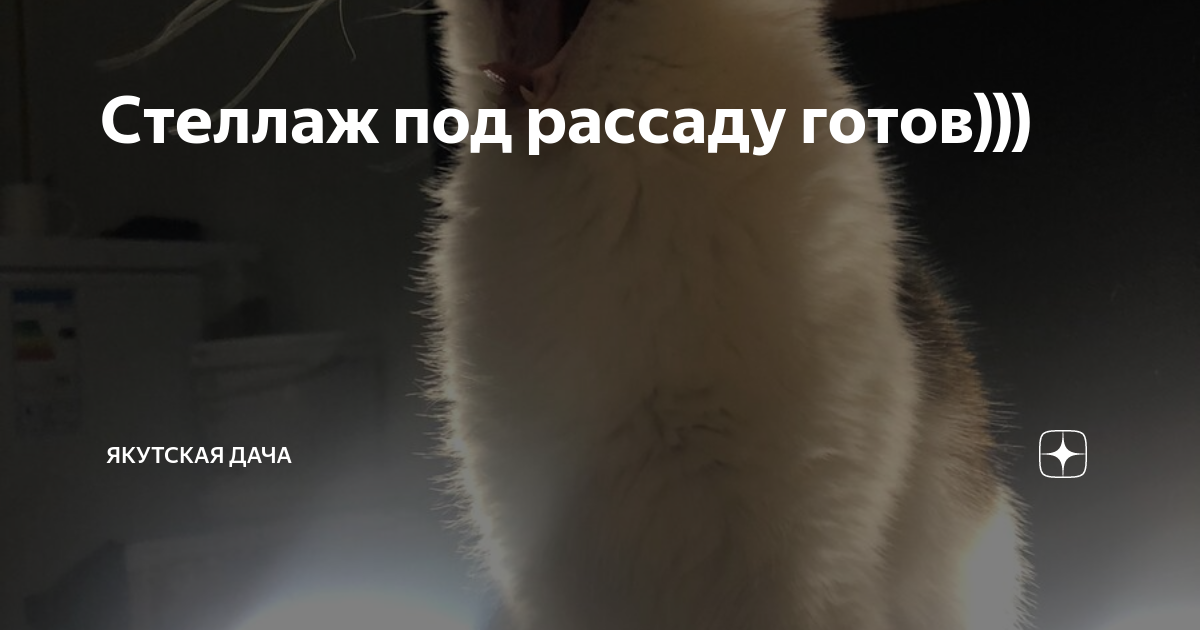Стеллаж под рассаду готов))) | Тёплая Якутия | Дзен