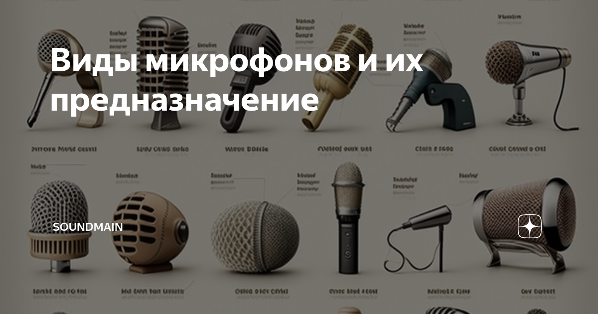 2 типа микрофона. 2 типа микрофона