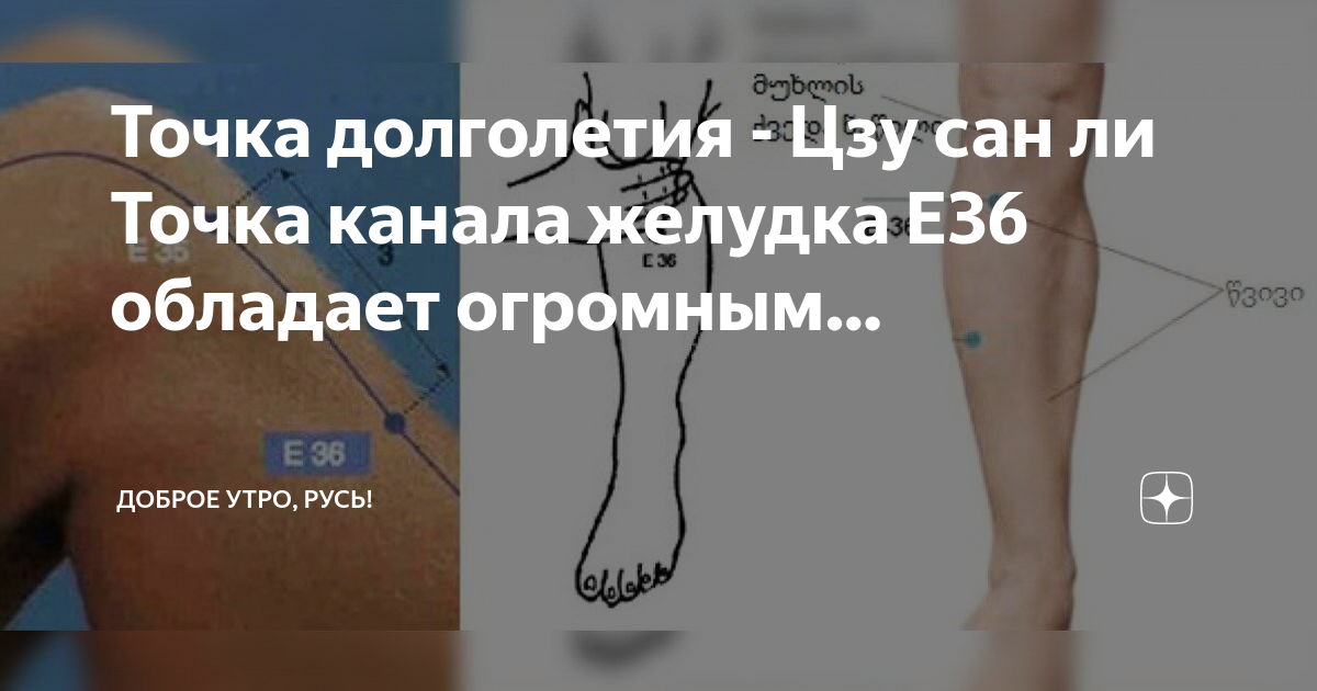 точка е41 цзе-си. канал точка ли. канал точка ли. точка st36 акупунктуры. е45 точка акупунктуры.