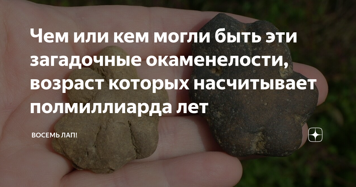 Нарисуй в тетради как могли выглядеть существа от которых остались окаменелости