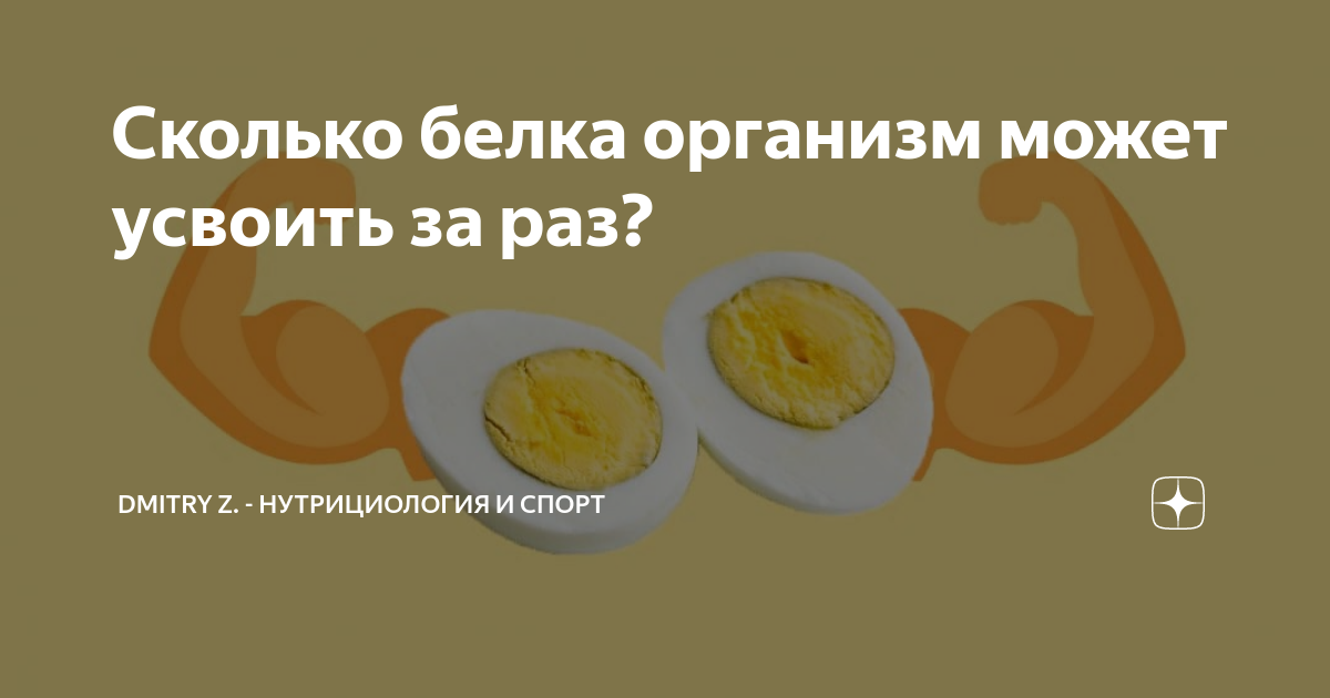 Сколько белка можно съесть за один раз? | FPA