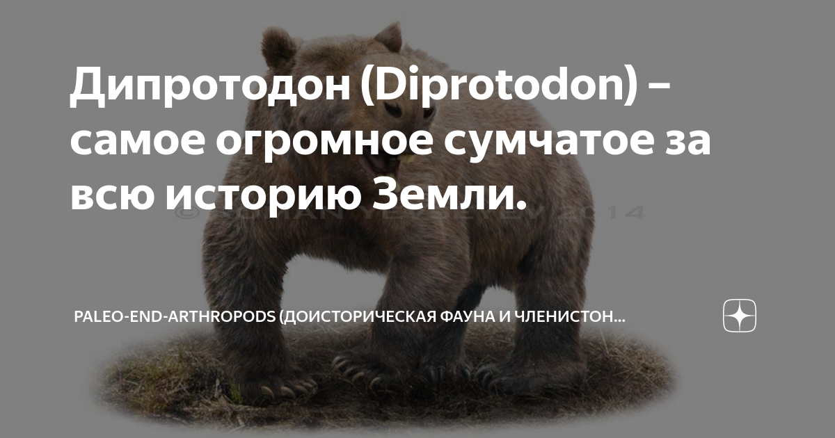 Дипротодон (Diprotodon) – самое огромное сумчатое за всю историю Земли ...