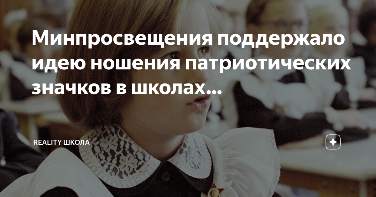 Минпросвещения поддержало идею ношения патриотических значков в школах. REALITY 