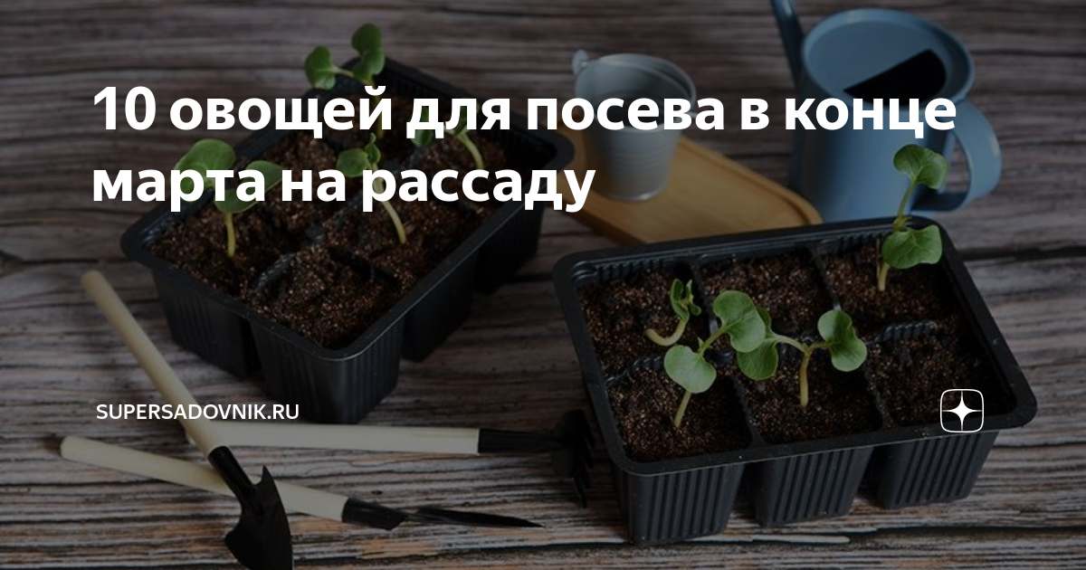 Какие цветы сеют в марте на рассаду. Что сажают в марте на рассаду. Пикировка. Рассада в апреле. Сажаем цветы на рассаду.